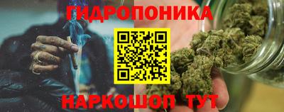 гашик Пыть-Ях