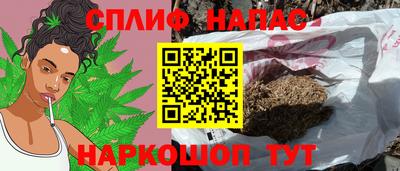 стаф Пушкино