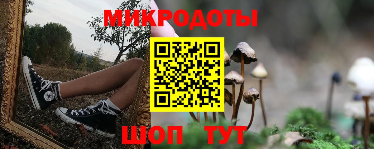 Псилоцибиновые грибы Magic Shrooms Партизанск