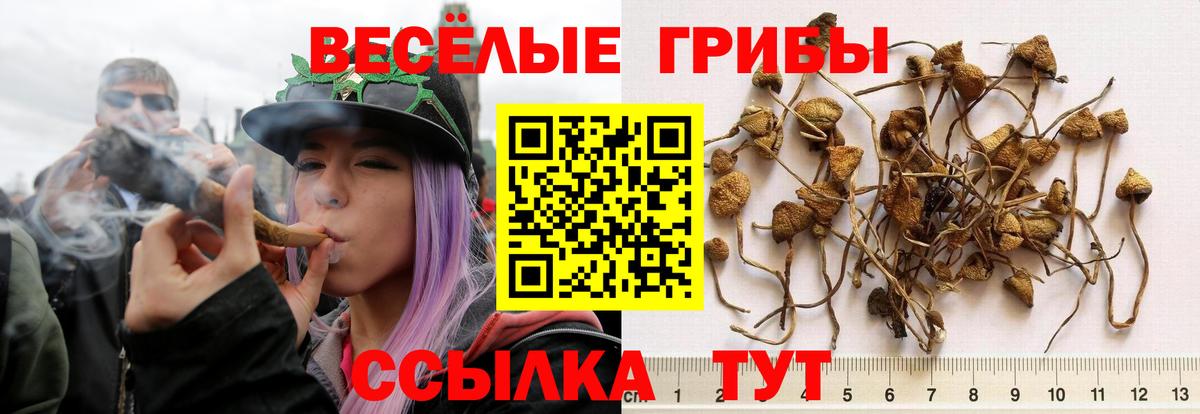 Галлюциногенные грибы мицелий  Вход с VPN  Партизанск 